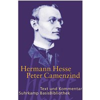 Foto von Buch - Peter Camenzind