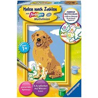 Foto von Malen nach Zahlen: Kleiner Golden Retriever