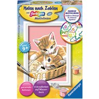 Foto von Malen nach Zahlen Serie F Katzenbabys