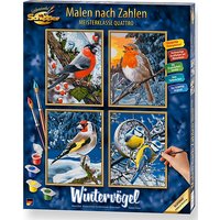 Foto von Malen nach Zahlen - Wintervögel