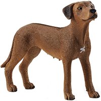 Foto von Schleich 13895 Rhodesian Ridgeback bunt